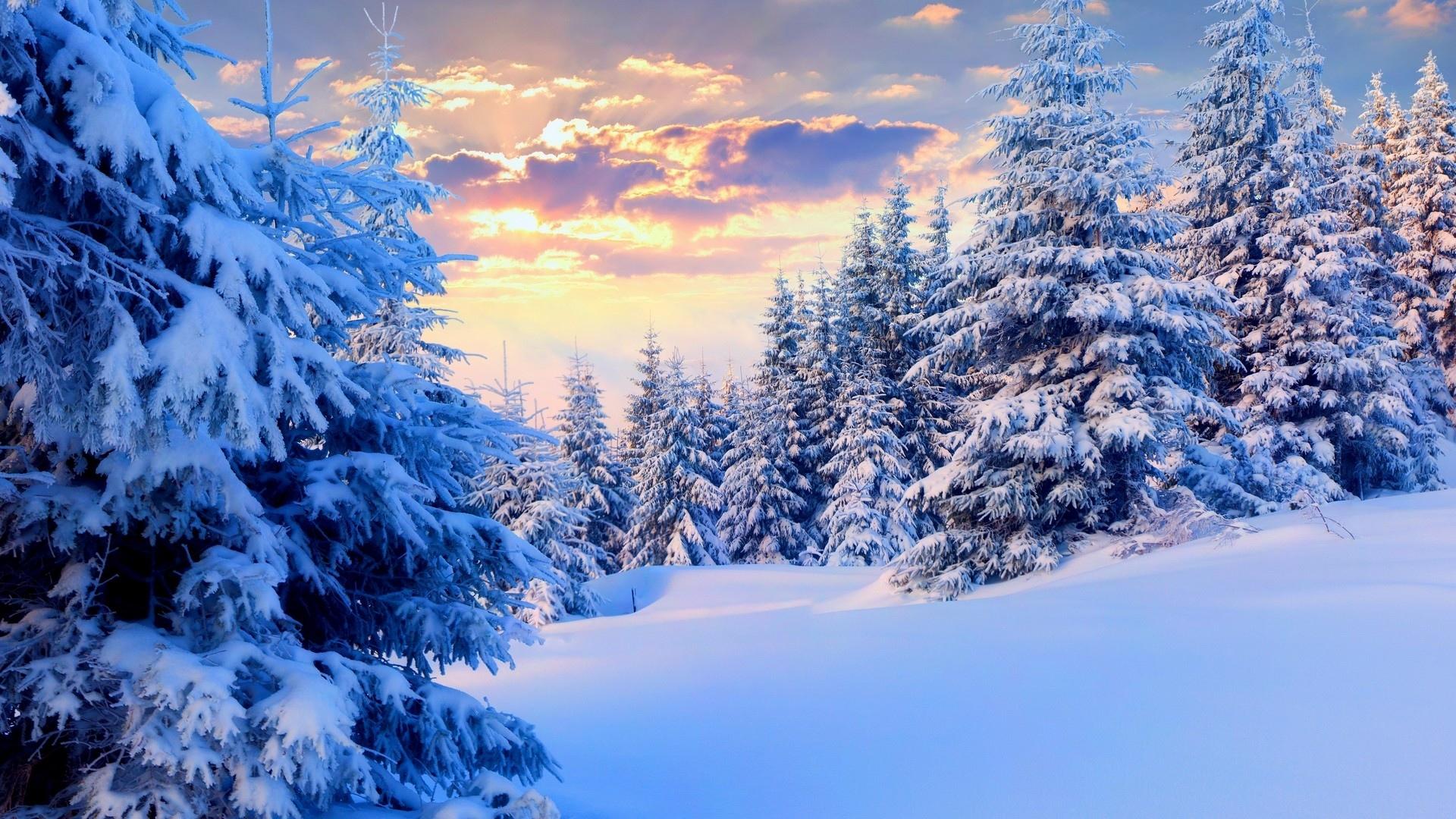 Широкоформатные обои зима 1920x1080, снег, парк, зимний лес, зимний пейзаж
