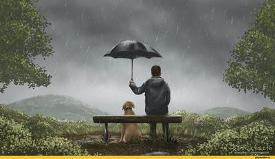 красивые картинки :: Pixx-73 :: друг :: собакен :: дождь :: art (арт) /  картинки, гифки, прикольные комиксы, интересные статьи по теме.