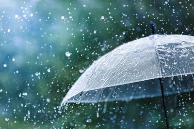 8, дождь и ветер: синоптики о погоде в пятницу