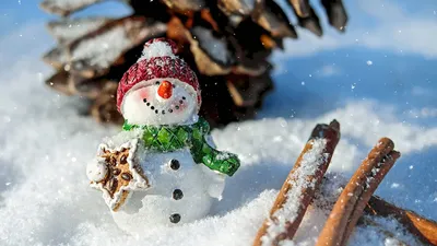 Красивые и прикольные картинки про зиму (66 фото)