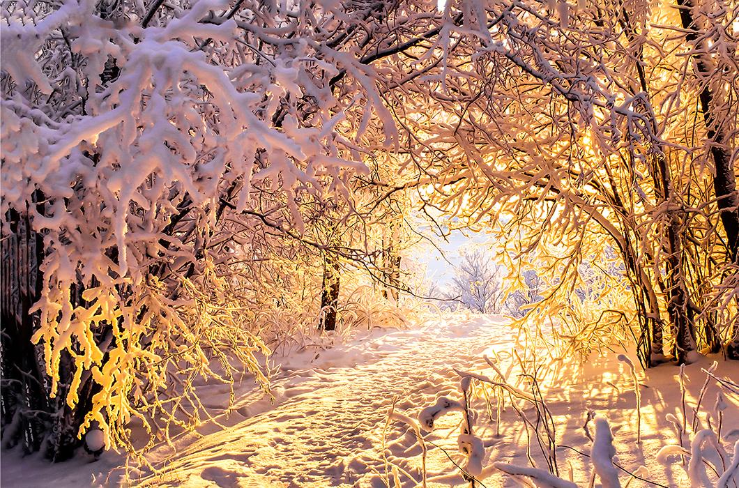 Очень красивые зимние обои - 57 фото
