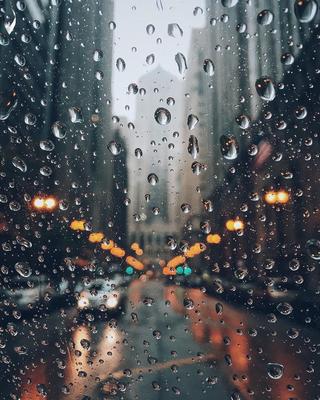 Дождь на стекле (52 фото) - 52 фото