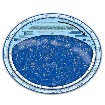 Карта звездного неба, СВЕТЯЩАЯСЯ В ТЕМНОТЕ, на магнитной основе, по цене  690 ₽/шт. купить в Москве в интернет-магазине Леруа Мерлен