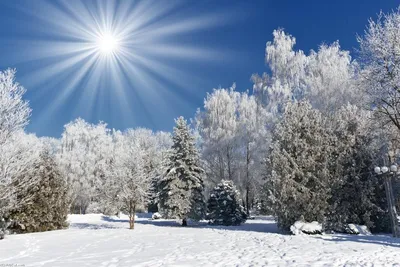 Сказочная красота зимы на прекрасных фотографиях - Zefirka