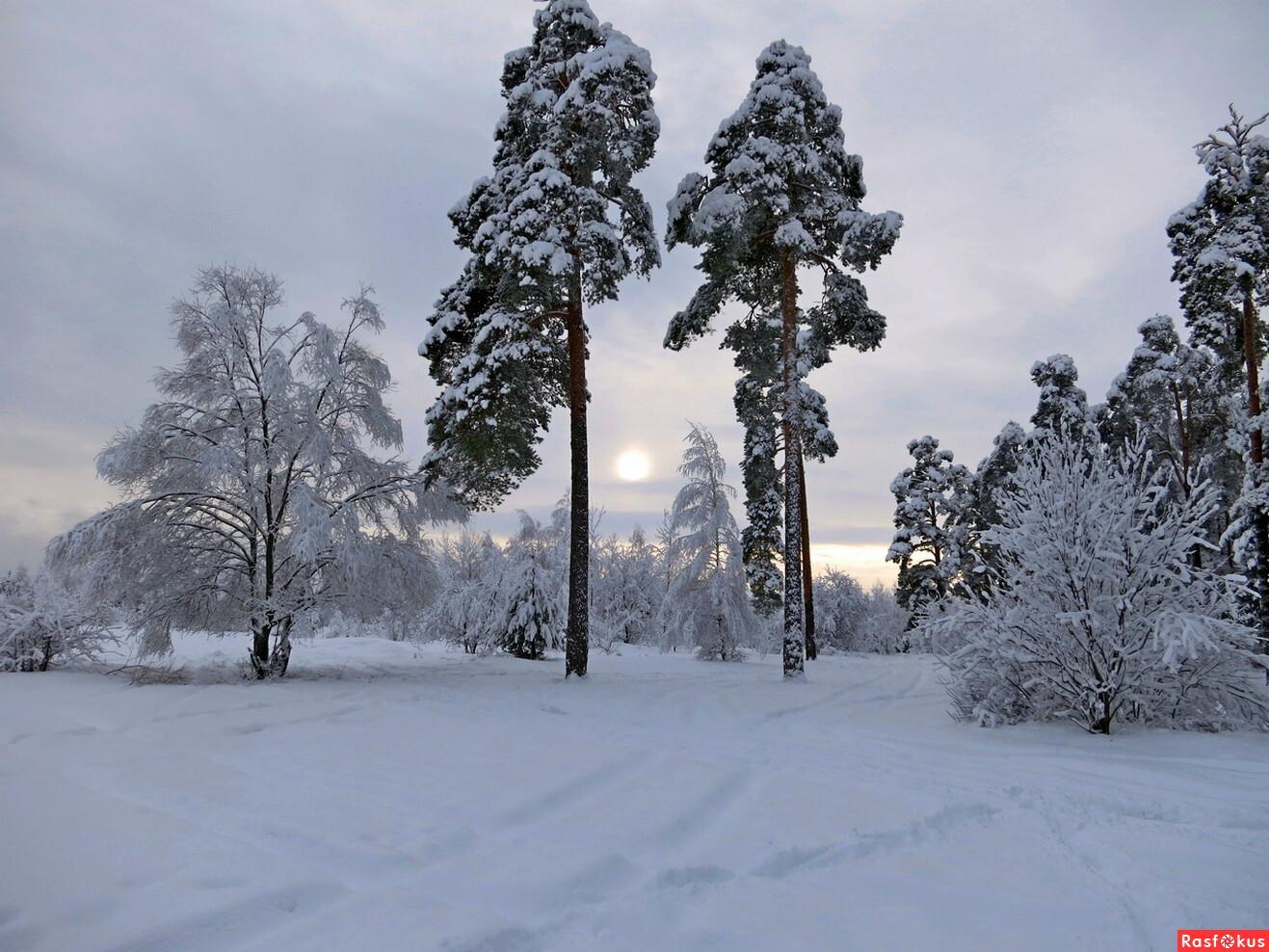 Картинки зимы на телефон - 75 фото