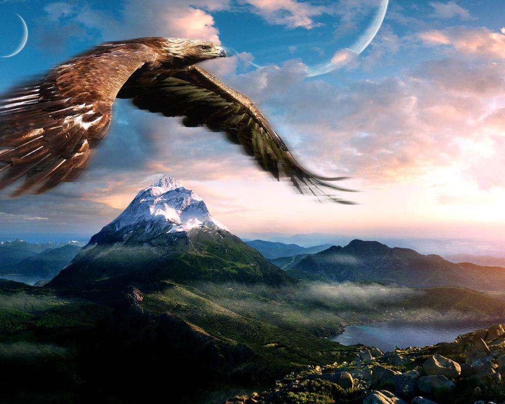 Орёл в небе над вершиной высокой…» — создано в Шедевруме