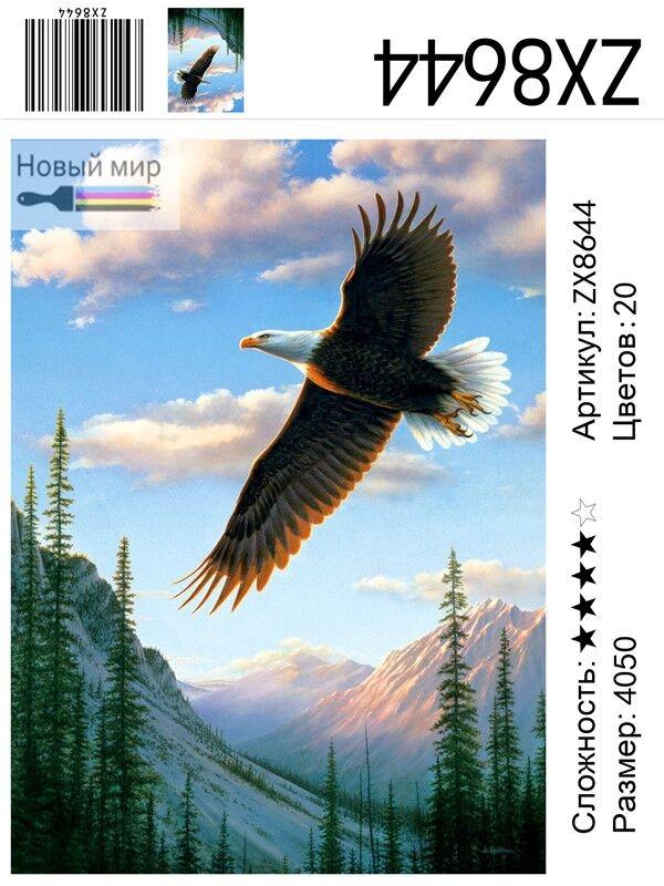 Бесплатные Индийская орел парящая высоко в небе стоковые фотографии |  FreeImages