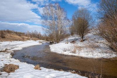 Купить картину Весенний ручей в Москве от художника Мицник Александр