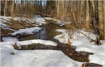 Горный ручей весной. Тающий снег Stock Photo | Adobe Stock
