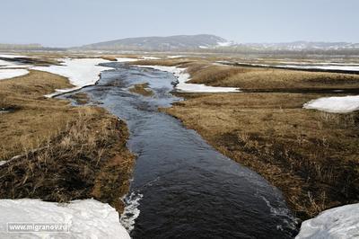 25 мая, недалеко от горы Иремель / сфотографировал сам :: ручей :: лед ::  весна - JoyReactor