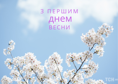 Хочеться Весни і тюльпанів... Вподобай... - Соломія Українець | Facebook