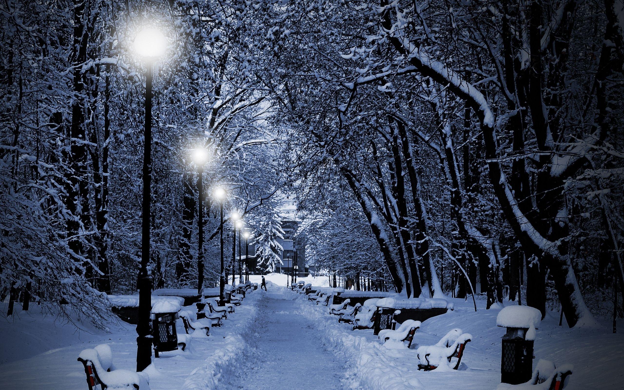 Зима, дорога, снег, деревья. | Пейзажи, Фоновые рисунки, Фоновые изображения