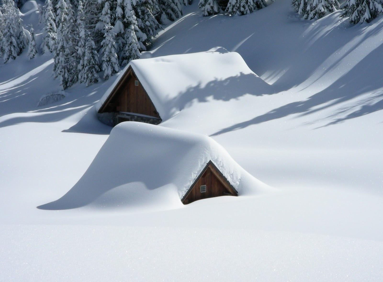 Зима - красивые картинки (85 фото)