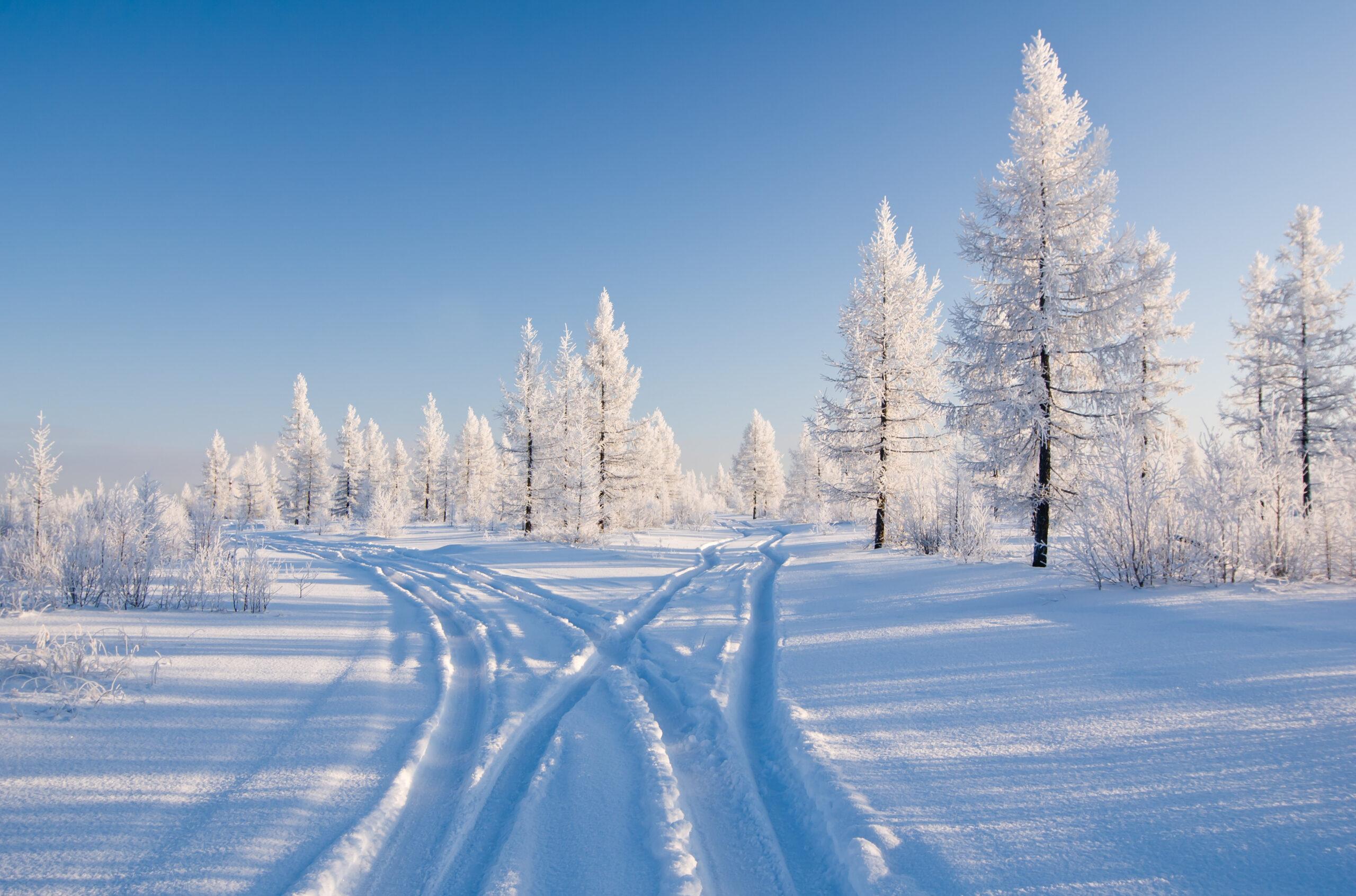 Обои на рабочий стол Зимний пейзаж. Деревья покрытые снегом, на фоне  голубого неба, обои для рабочего стола, скачать обои, обои бесплатно