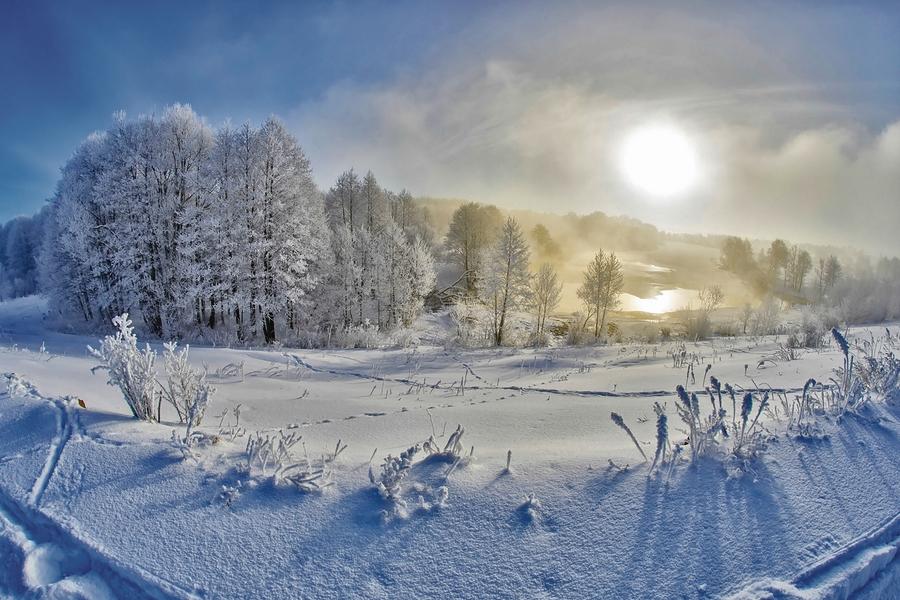 Снег, снег, зима, фотография, ветка png | PNGWing