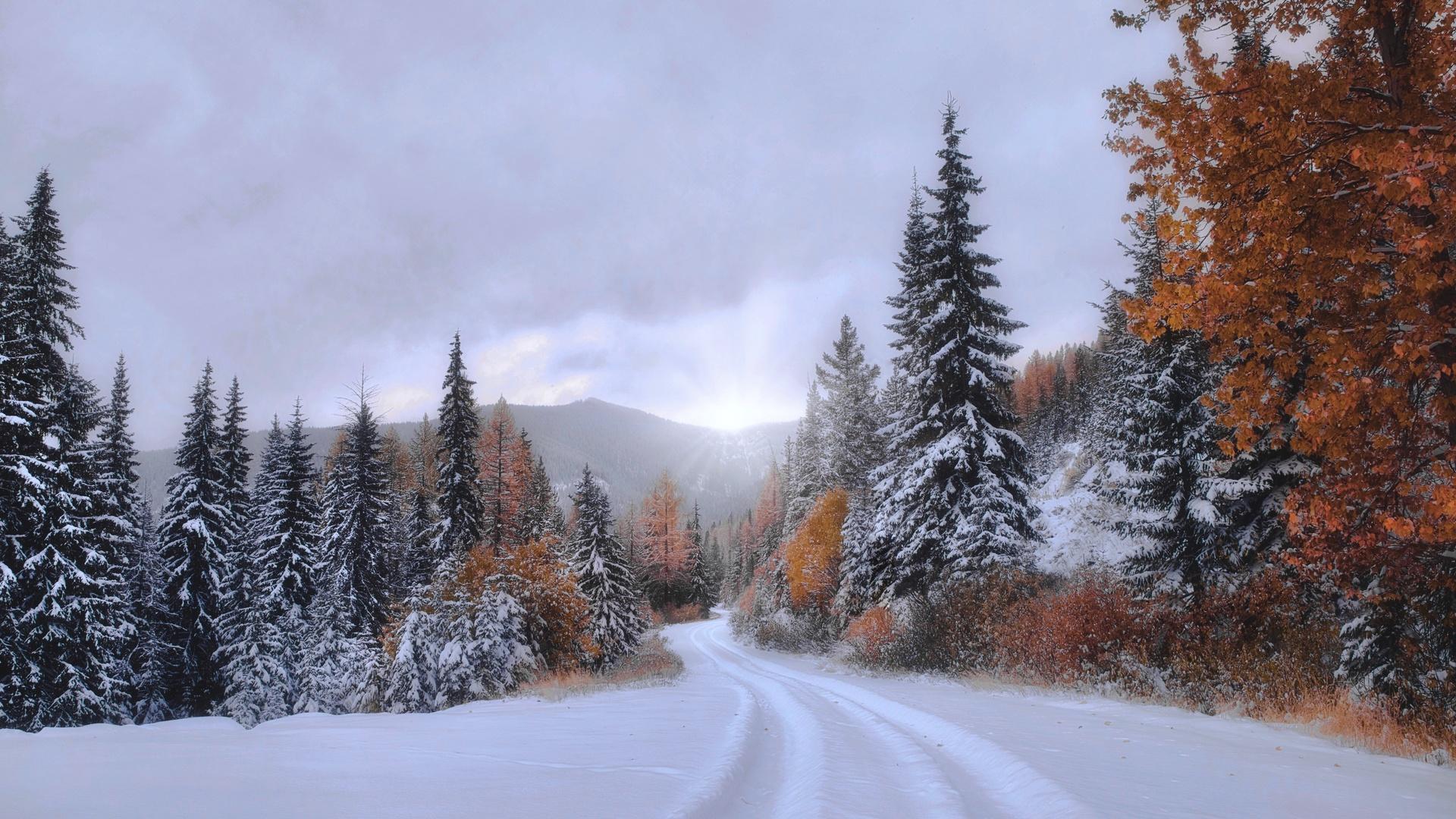 Картинки зима, облачно, деревья, дорога, пасмурно, снег, природа, пейзаж -  обои 1920x1080, картинка №435036