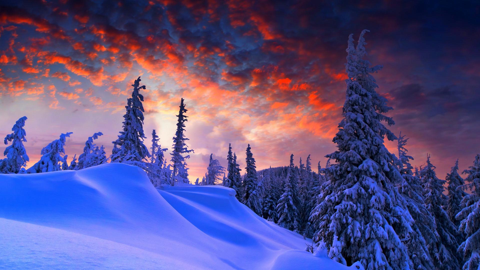Скачать 1920x1080 Зима, снег, река, лес, пейзаж обои, картинки Full HD  1080p | Пейзажи, Идеи озеленения, Лес