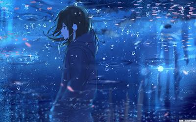 Аниме девушка под дождем под зонтиком, 4к, аниме скачать картинку фон  картинки и Фото для бесплатной загрузки