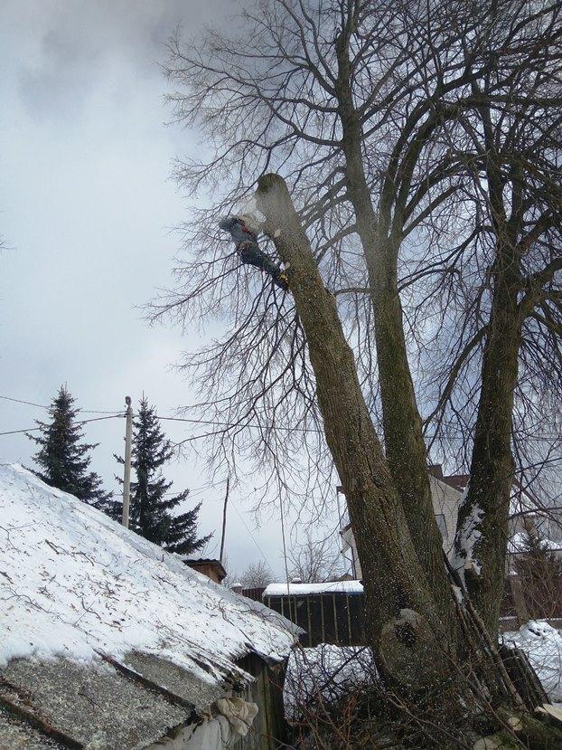 Рисунок Деревья зимой №277139 - «Зимняя сказка» (05.01.2022 - 22:39)