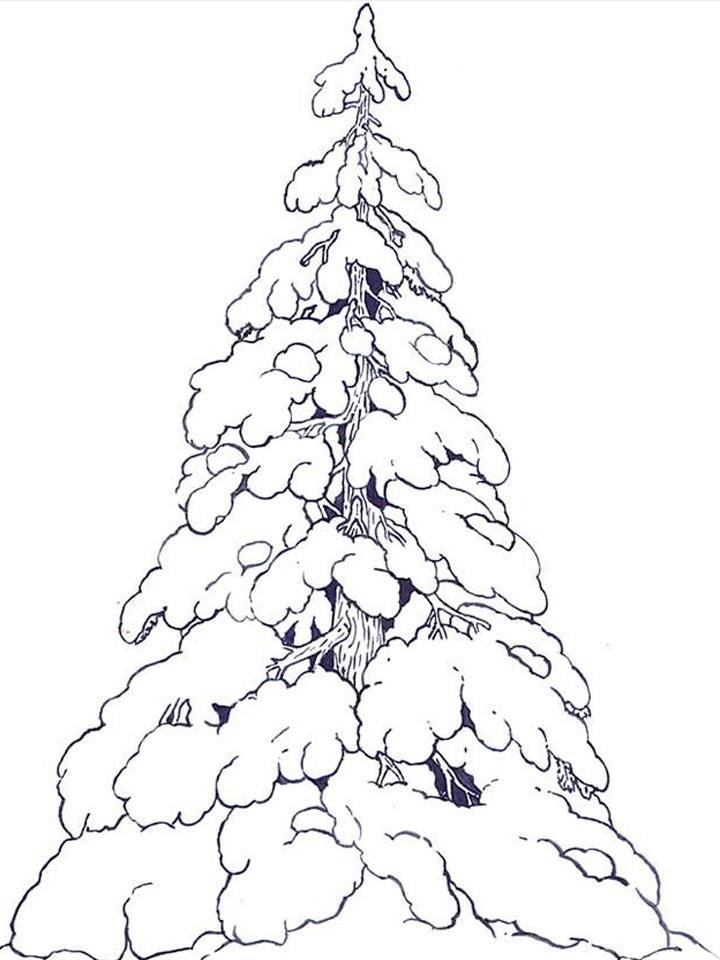 Голые деревья зимой Фон И картинка для бесплатной загрузки - Pngtree