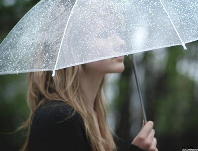 Картинка с девушкой под прозрачным зонтом — Фотографии на аву | Зонт,  Детские фотосессии, Картинки