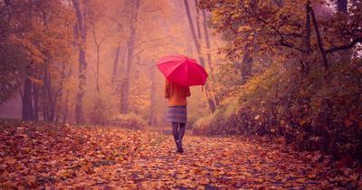 Женщина с зонтиком идет после дождя стоковое фото ©xload 142876831