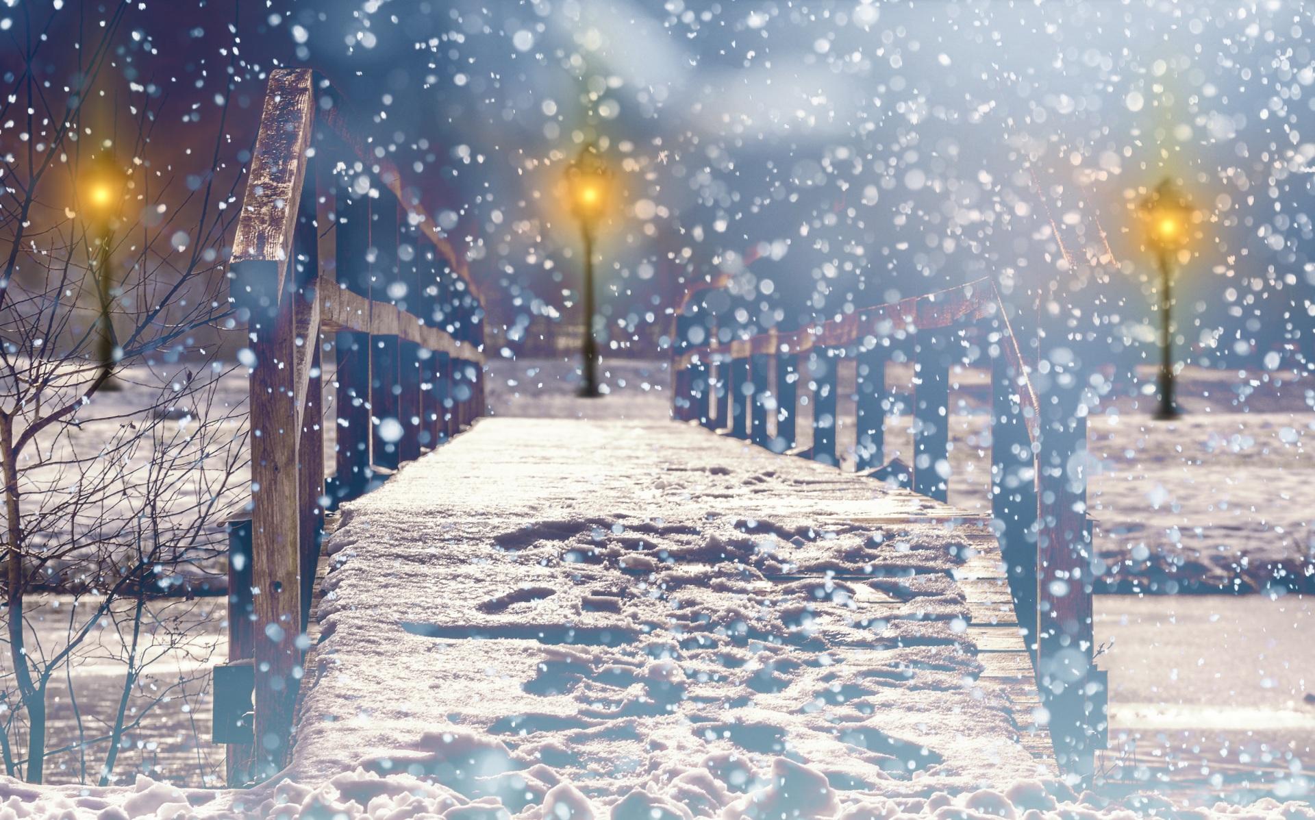 Купить Зимний снег лес полиэстер фон для фотосъемки замороженные белые  рождественские деревья зимняя сцена вечеринка фото фон рождественские  украшения | Joom