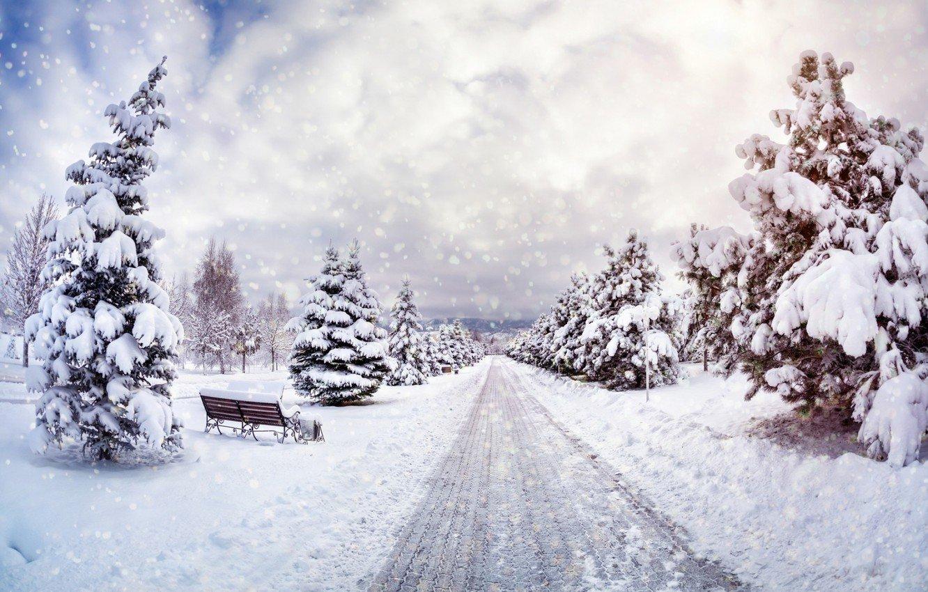 Фото Размытый фон Зима Мосты парк снега Ночь Уличные 1920x1197