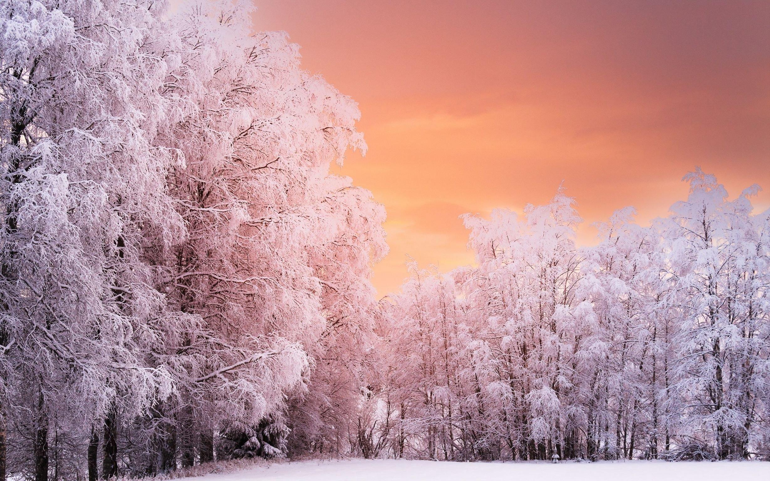 Картинки для фона зима фотографии