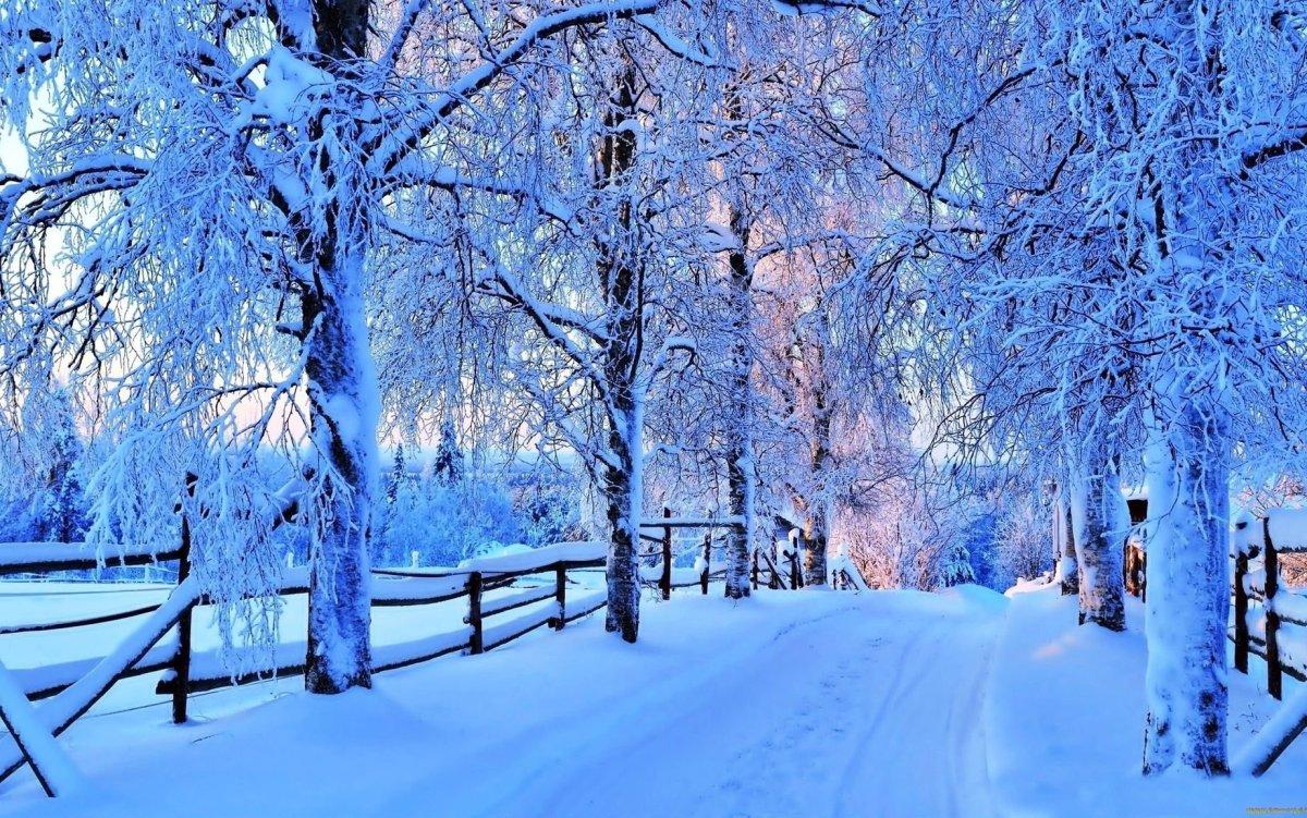 Картинки зима на рабочий стол (100 фото) • Прикольные картинки и позитив
