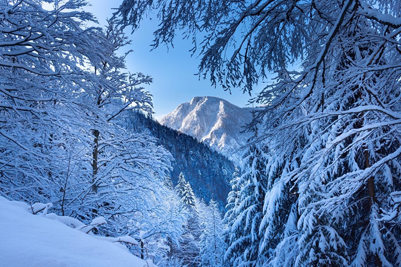 Обои для рабочего стола Альпы Австрия Зима Горы Природа снега