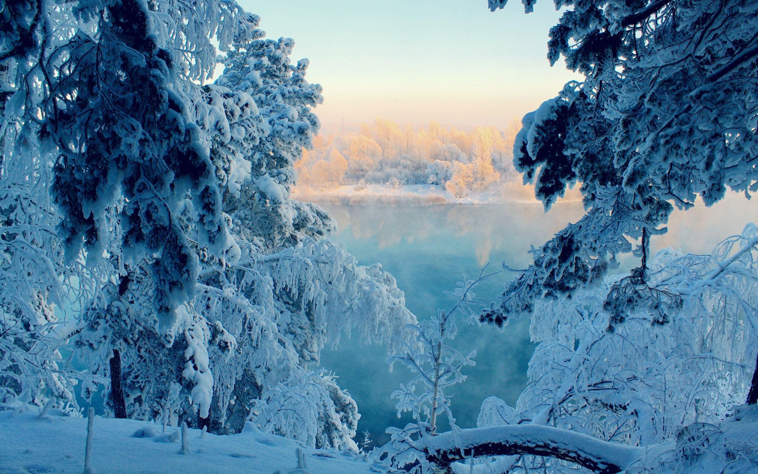 Вертикальные обои на айфон красивые зимние (52 картинки) | Живописные  пейзажи, Фотография льда, Зимние сцены