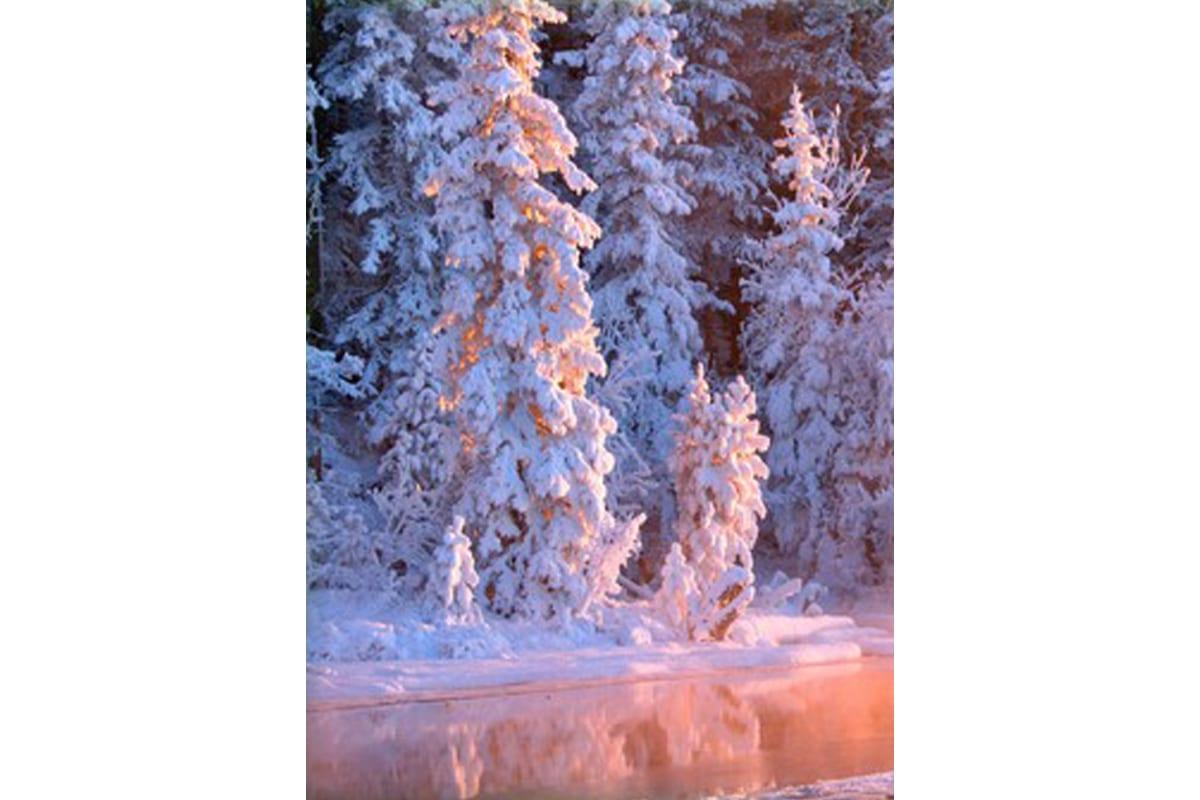 причудливые 3d зимние обои, зима, 3д, снег фон картинки и Фото для  бесплатной загрузки