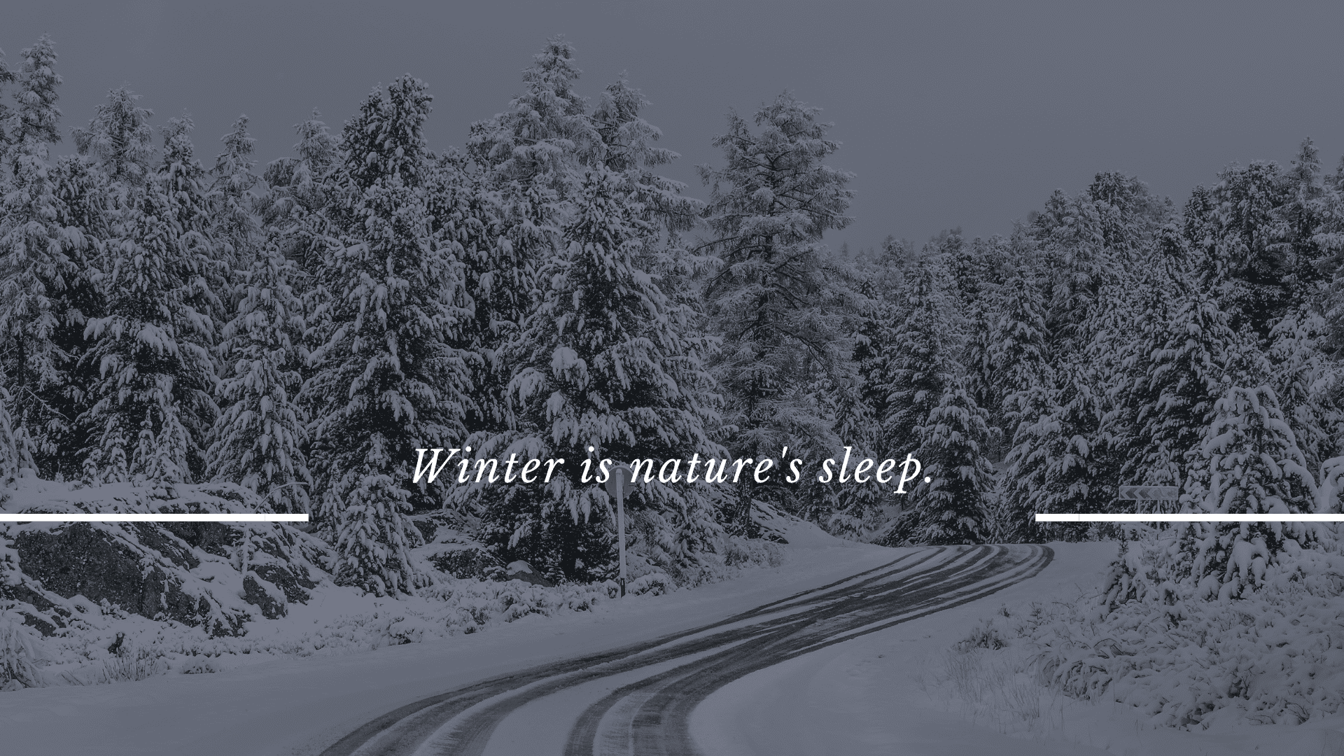 Обои Природа Зима, обои для рабочего стола, фотографии природа, зима, снег,  горы, холмы, деревья Обои для рабочего стола, скачать обои картинки  заставки на рабочий стол.
