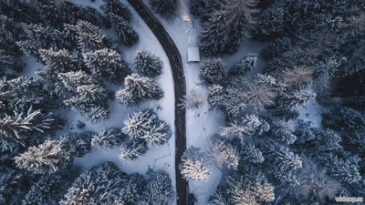 Зима в Альпах скачать фото обои для рабочего стола