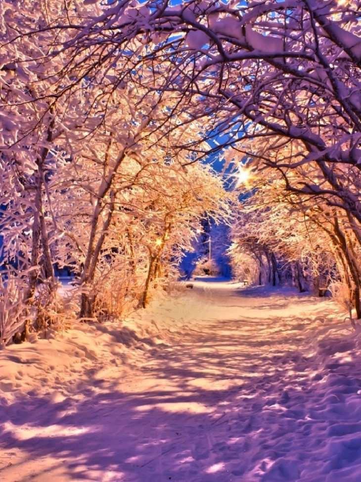 Картинка Хорватия Зима Снег в ночи Уличные фонари Дома 1080x1920