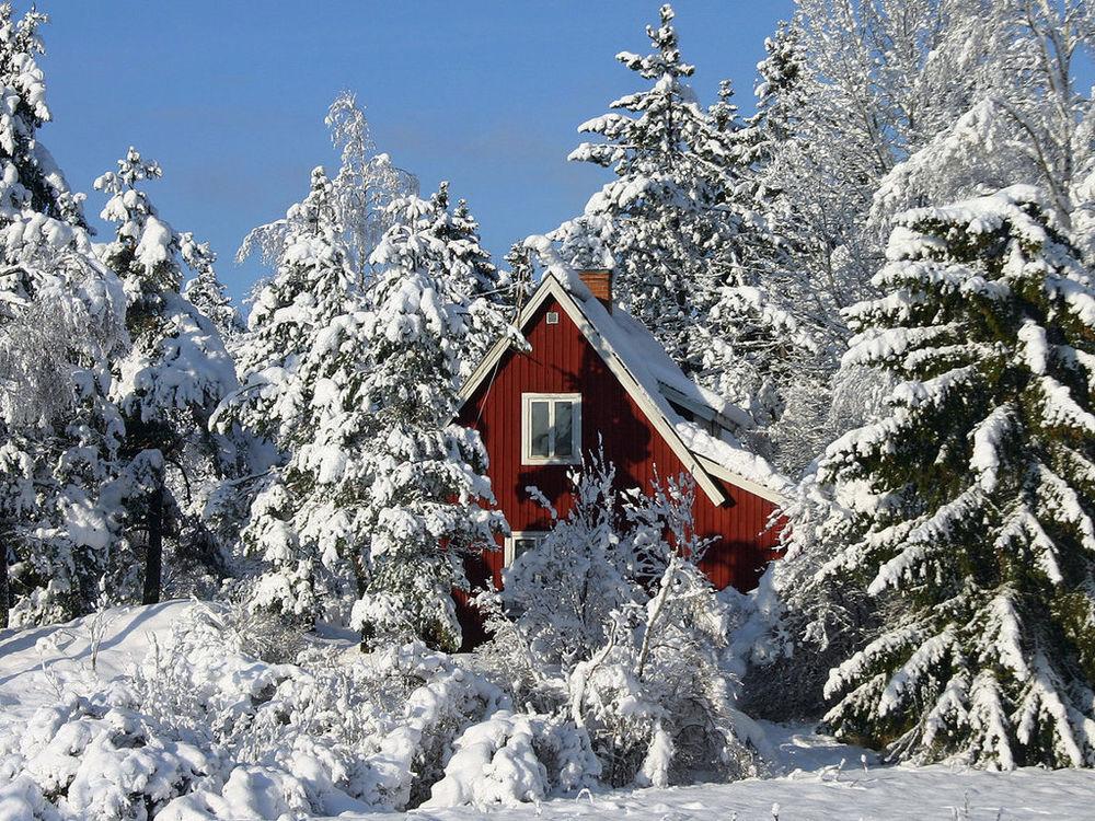 Домик в зимнем лесу (91 фото) - 91 фото
