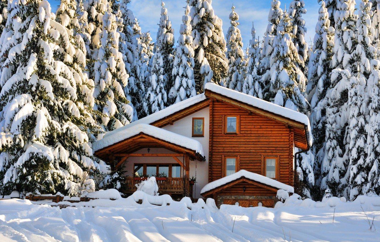 зимний дом. милые дома в снежном лесу уютный домик или дом, где есть  снежная крыша, напечатка на рождественском постере или открыт Иллюстрация  вектора - иллюстрации насчитывающей гостиница, страна: 233383803