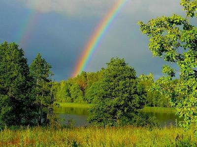 Как объяснить появление радуги после дождя?