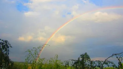 Дождь и радуга лета над полем Стоковое Изображение - изображение  насчитывающей урожаи, небо: 97420695