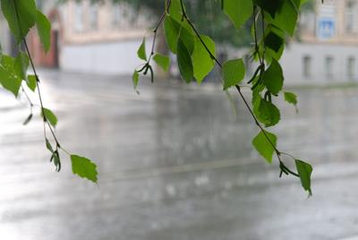 текстура дождя падает на окно лета Стоковое Фото - изображение  насчитывающей лето, дождь: 107895852
