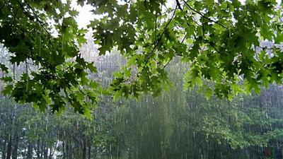 Дождь лета стоковое изображение. изображение насчитывающей дождь - 58209091