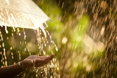 Чем заняться летом, когда за окном идет дождь | Здоровье и долголетие:  советы и рекомендации | Дзен
