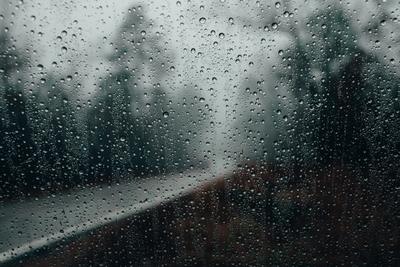 Дождь На Окне Искажает Вид Деревьев И Дороги За Пределами Дома — стоковые  фотографии и другие картинки Искажённый - iStock