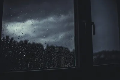 Жизнь и все живое. | Звуки ливня за окном. Дождь за окном. Ливень. | Дзен