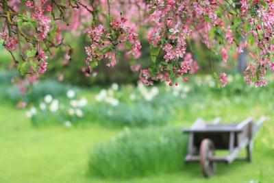 Весенний Фон — стоковые фотографии и другие картинки Апрель - Апрель,  Фоновые изображения, Весна - iStock
