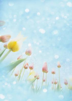 Фон для творчества. Льняная ткань и весенние цветы Stock Photo | Adobe Stock