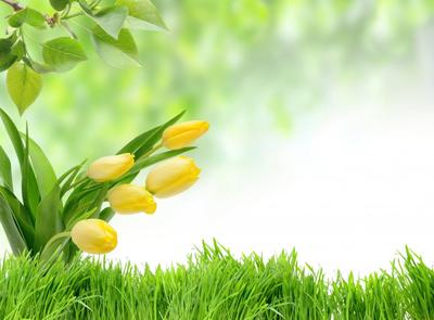 Фон весны с цветами стоковое фото. изображение насчитывающей пейзаж -  207542478