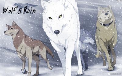 Волчьи стаи | Волчий Дождь вики | Fandom