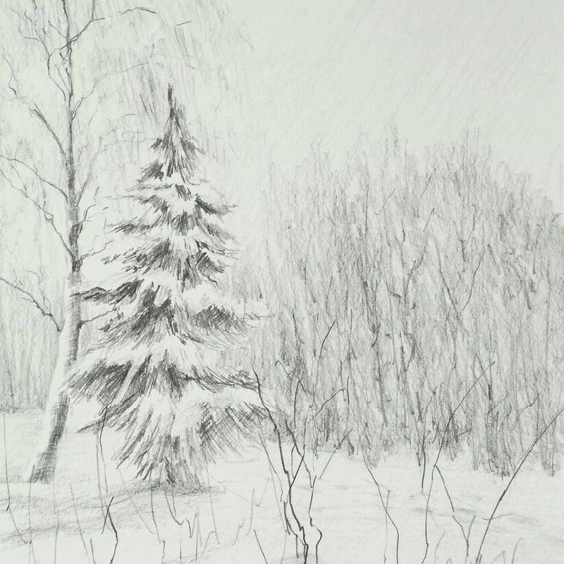 Зимний пейзаж. Урок по рисованию простым карандашом | Рисование с Натальей  Васильевой | Sponsr